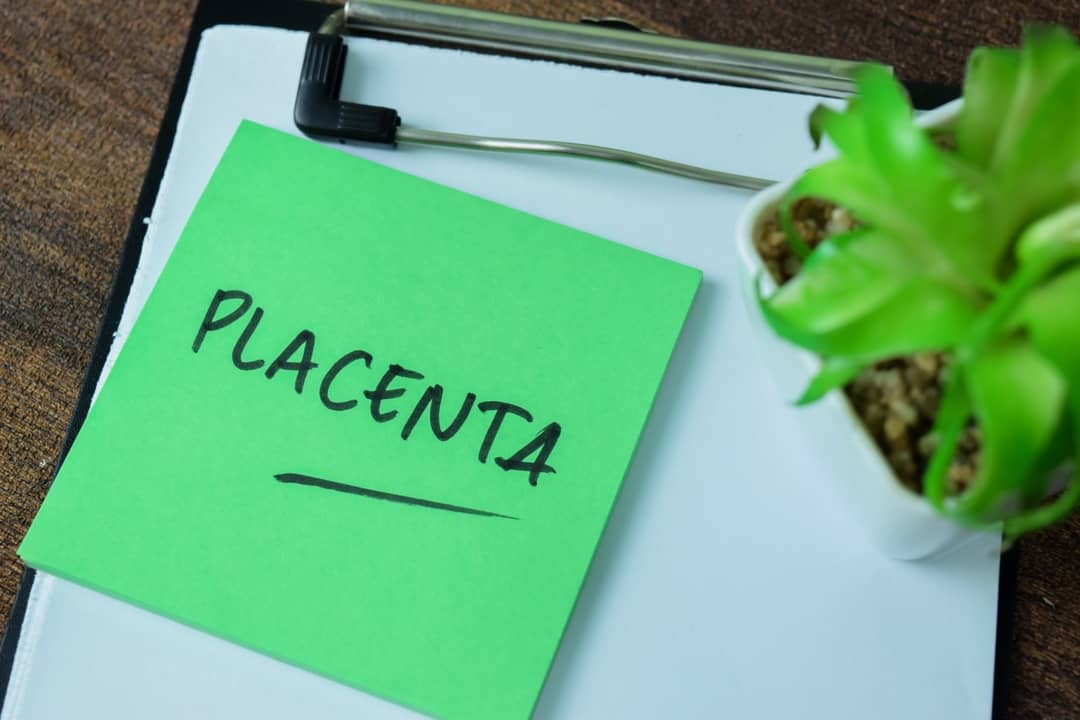 La placenta y su contribución en la cicatrización de heridas